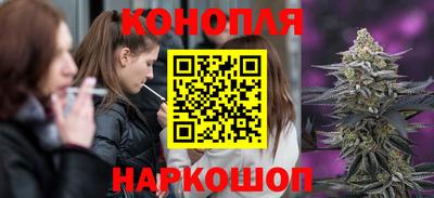 СК Надым