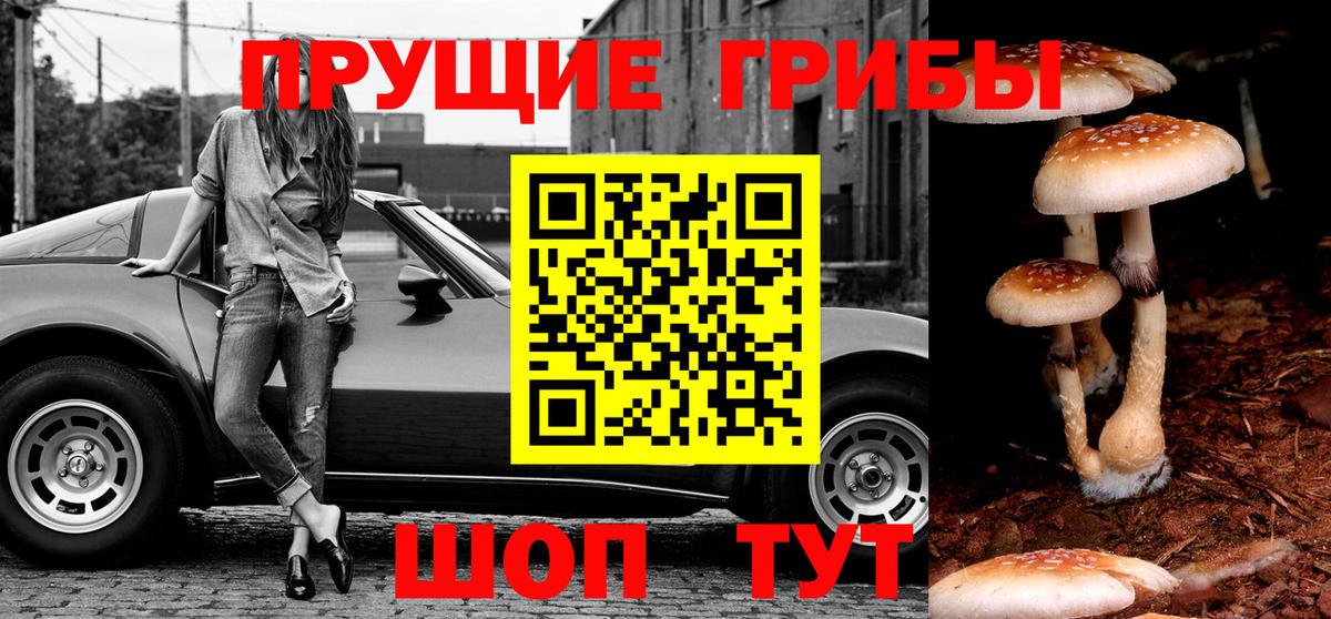 Псилоцибиновые грибы прущие грибы Кузнецк